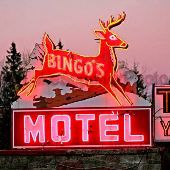 Bingo's Motel