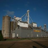 Brown City Elevator Inc.