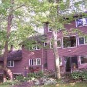 Whitewood