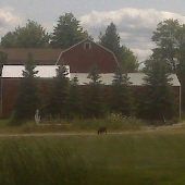 Double D Farm