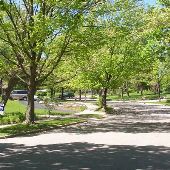 Ponoma Drive