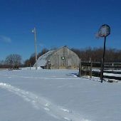 Cass City Farm