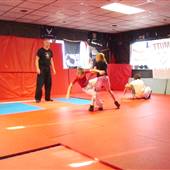 Mutt Fight Club