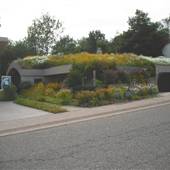 Marquette Earth Home