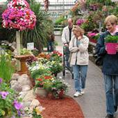 W. W Greenhouse Inc.