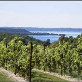 Chateau Grand Traverse