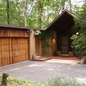 Asian Style House in Woods