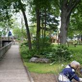 Hicks Park