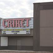 The Silver Criket