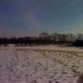 Seven Oaks - Burns Family Farm