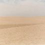 Warren Dunes State Park
