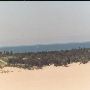 Warren Dunes State Park