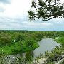 Alcona Valley