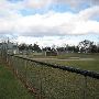 Mitchell Park