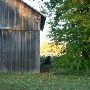 Otteman Farm