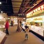 Flint Sloan Museum