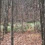 Bald Mountain State Park