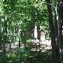 Bald Mountain State Park