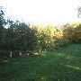 Hart Farm