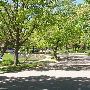 Ponoma Drive
