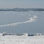 Traverse City Frozen Shoreline