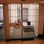 Jackson Prison