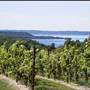 Chateau Grand Traverse