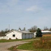 Friesian Horse Farm