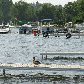 Walled Lake