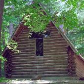 Hartwick Pines State Park