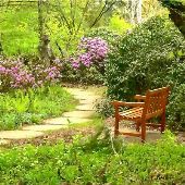 Dow Gardens