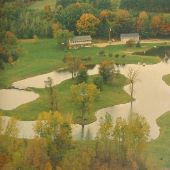 Miniature Horse Farm