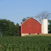 Kathleen's Remus Farm