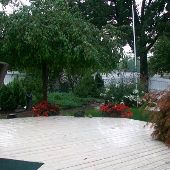 Sue's Madison Heights Ranch Home