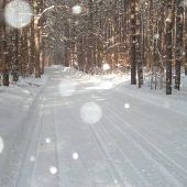Cadillac Snowmobile Trails