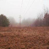 Gaylord Property 155 Acres