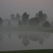 Rural Home 10 acres with pond