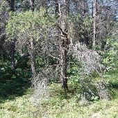 Clear Lake State Park