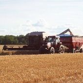 Bartle farms