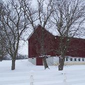 Snowy country scenes