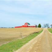 Shirley's Farm