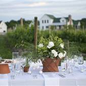 Old Shore Vineyards