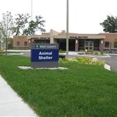 Kent County Animal Shelter