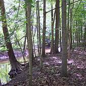 Genesee County Parks - For-Mar Nature Preserve