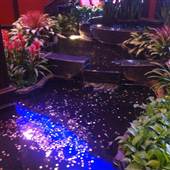 Amway Grand Plaza Hotel