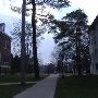 Albion College