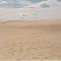 Warren Dunes State Park