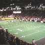 Wings Stadium