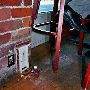 Ann Arbor Fairy Doors
