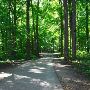 Maybury State Park
